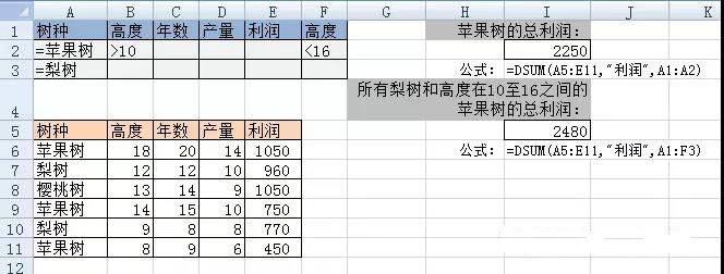 DSUM函數利潤用法